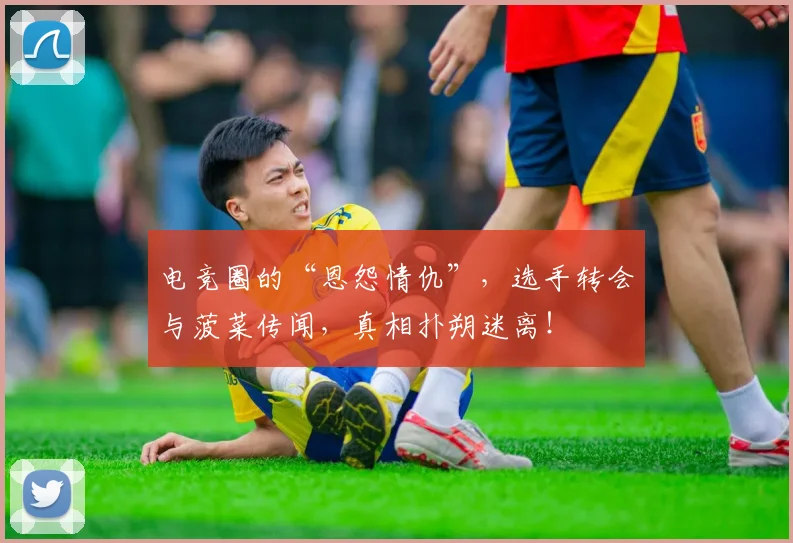 电竞圈的“恩怨情仇”，选手转会与菠菜传闻，真相扑朔迷离！