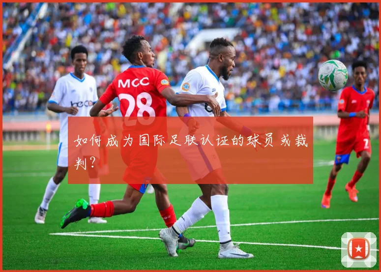 如何成为国际足联认证的球员或裁判？