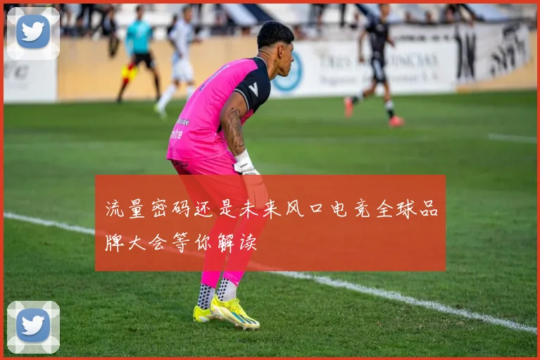 流量密码还是未来风口电竞全球品牌大会等你解读